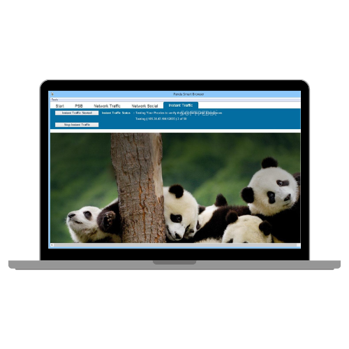 Panda Smart Browser